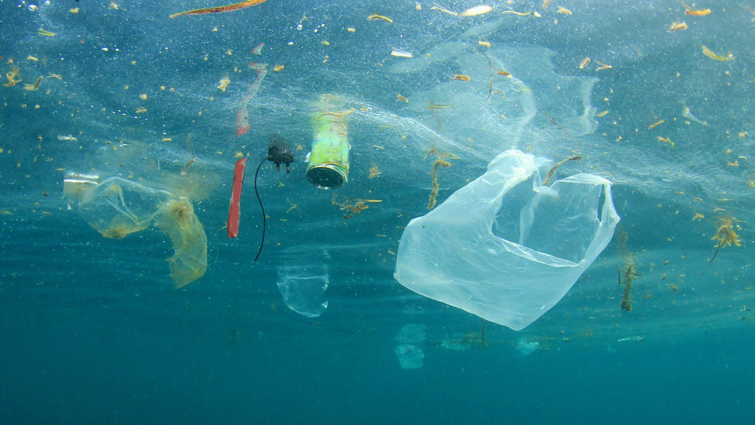 Can Plastic be Recycled?