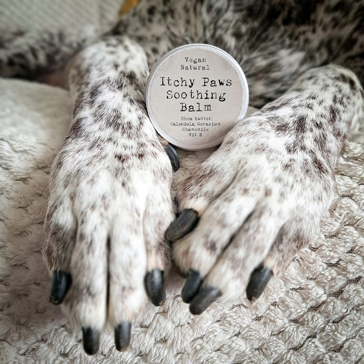 Paws Right There - Itchy Paws Soothing Balm