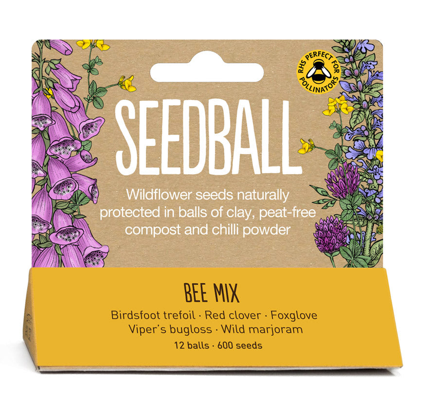 Seedball - Mini Meadow Bamboo Pots, Bee Mix