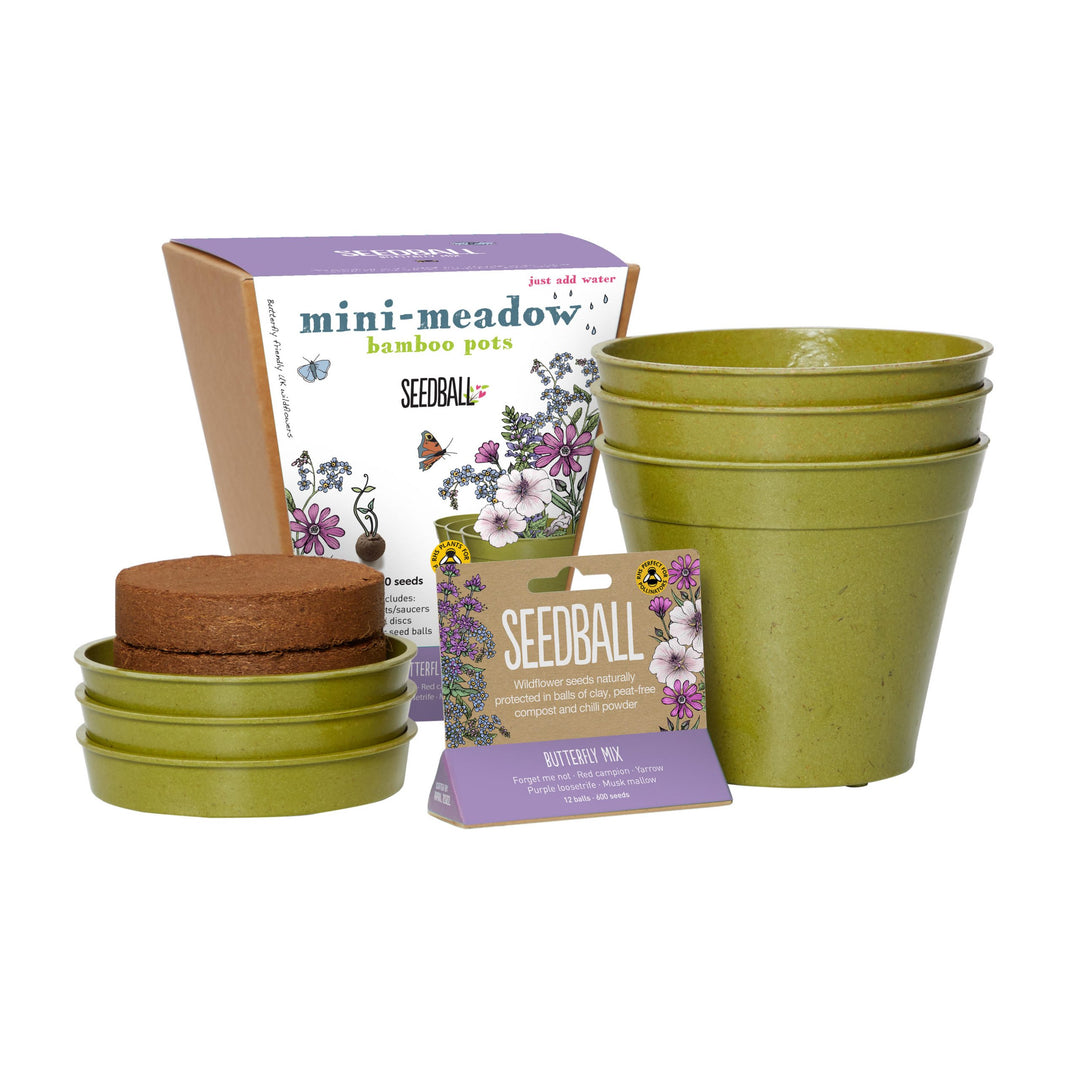 Seedball - Mini Meadow Bamboo Pots, Butterfly Mix