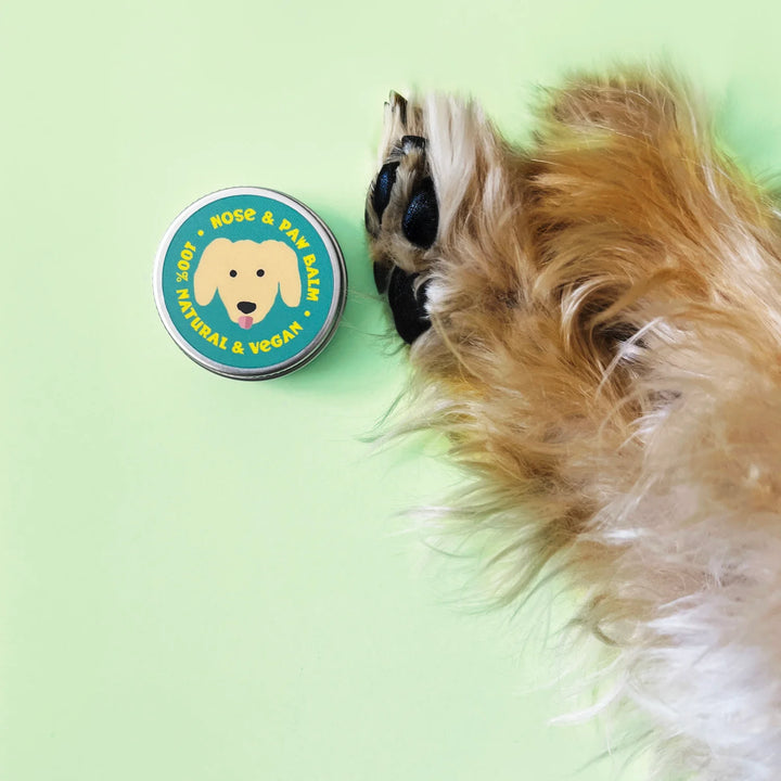 Paper Plane - Nose & Paw Balm for Dogs