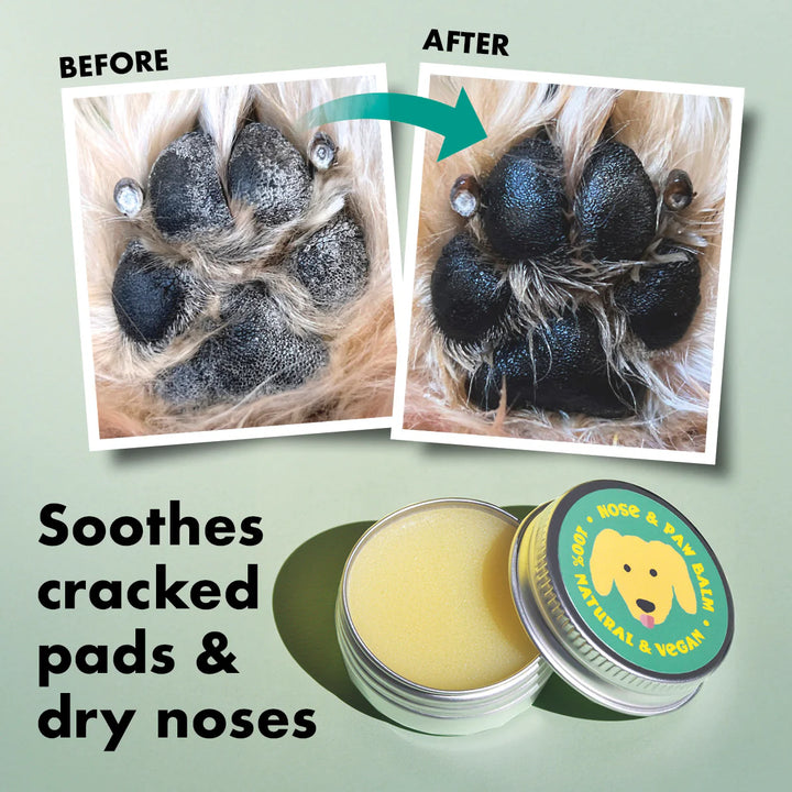 Paper Plane - Nose & Paw Balm for Dogs