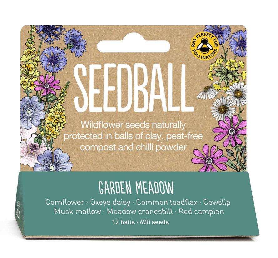 Seedball - Mini Meadow Bamboo Pot, Garden Meadow