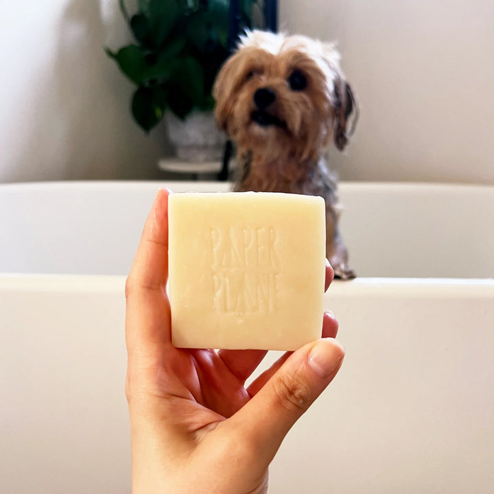 Paper Plane - 100% Natural Dog Shampoo