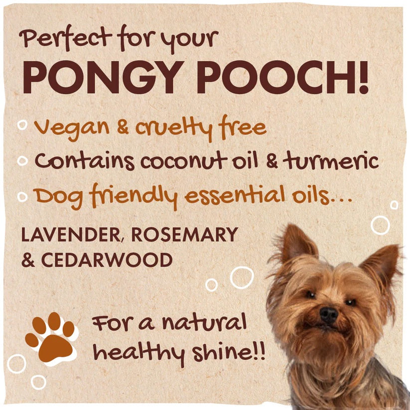 Friendly Soap - Dog Shampoo Bar