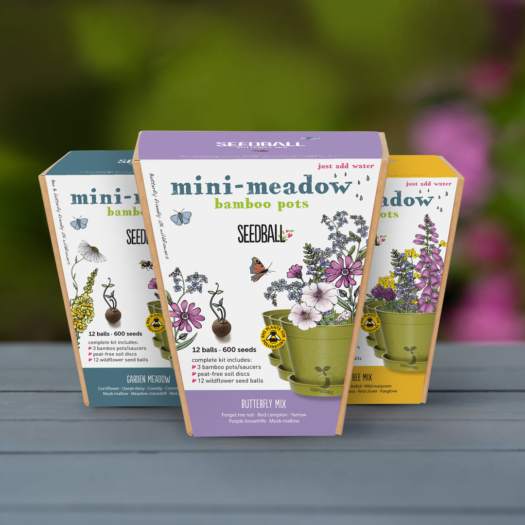 Seedball - Mini Meadow Bamboo Pot, Garden Meadow