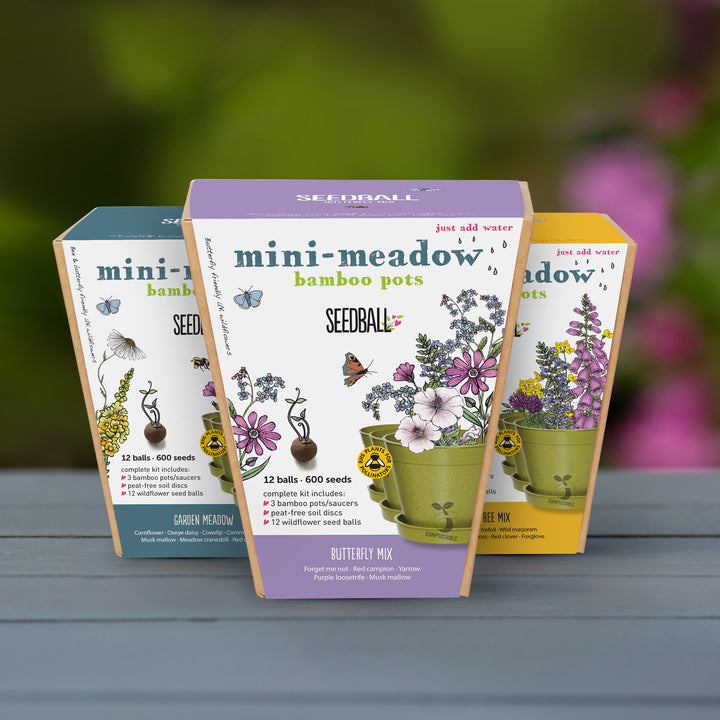 Seedball - Mini Meadow Bamboo Pot, Garden Meadow