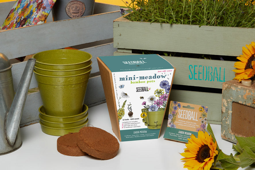 Seedball - Mini Meadow Bamboo Pot, Garden Meadow