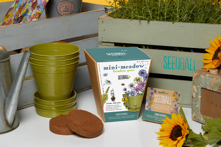 Seedball - Mini Meadow Bamboo Pots, Bee Mix