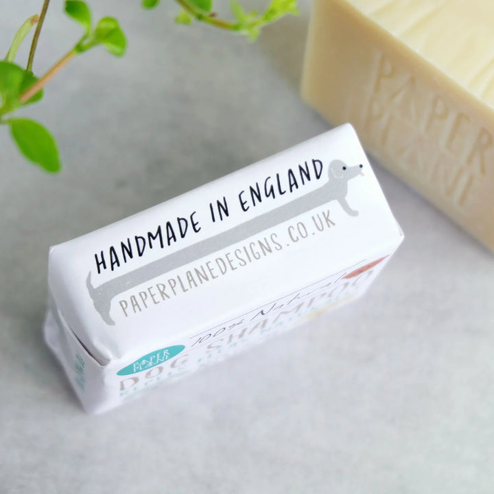 Paper Plane - 100% Natural Dog Shampoo