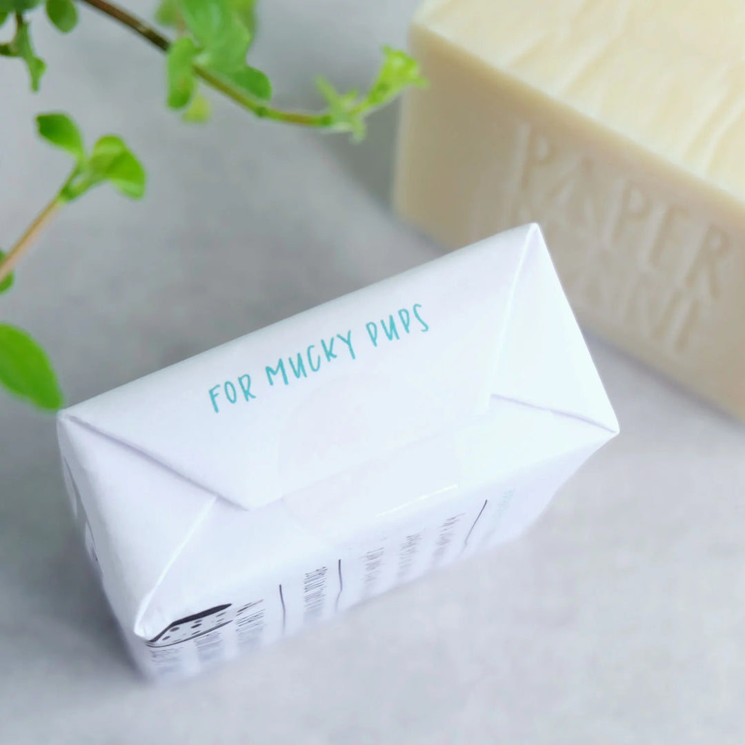 Paper Plane - 100% Natural Dog Shampoo