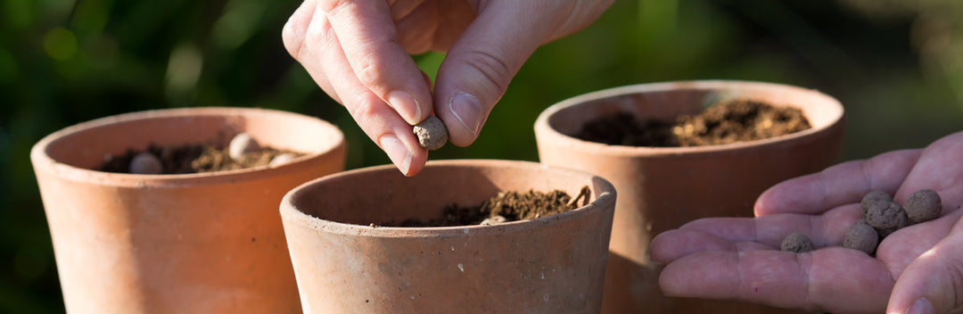 Seedball - Wildlife Collection Seed Boxes