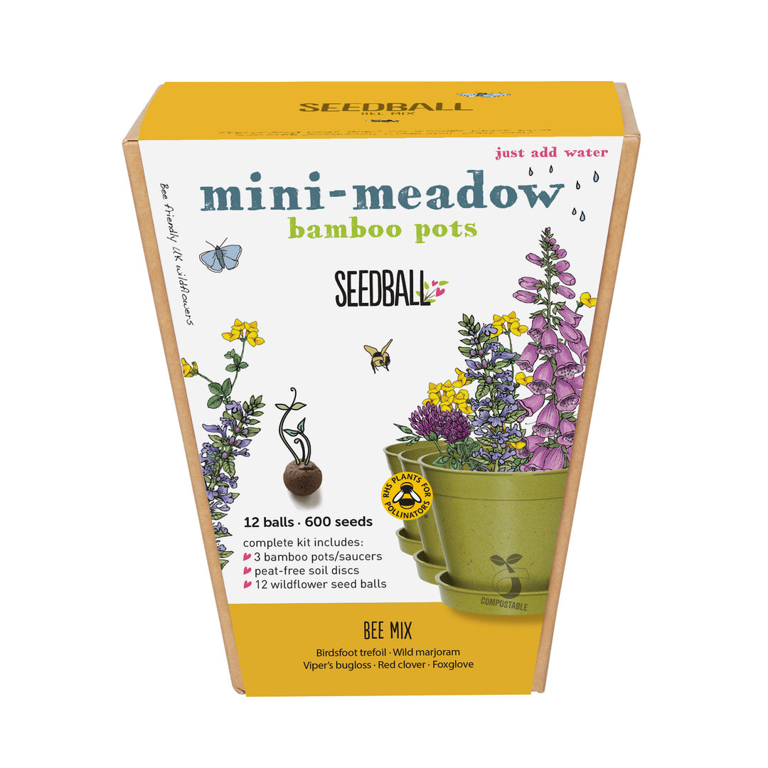 Seedball - Mini Meadow Bamboo Pots, Bee Mix