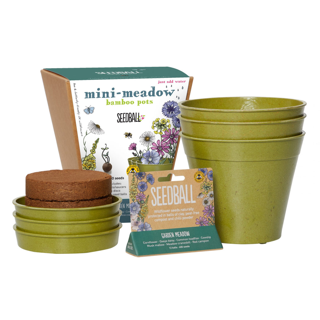 Seedball - Mini Meadow Bamboo Pot, Garden Meadow