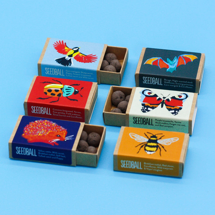 Seedball - Wildlife Collection Seed Boxes