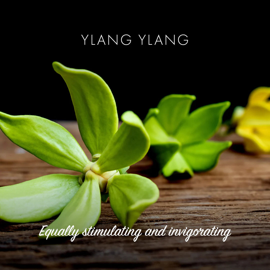 Friendly Soaps - Ylang Yang Soap Bar