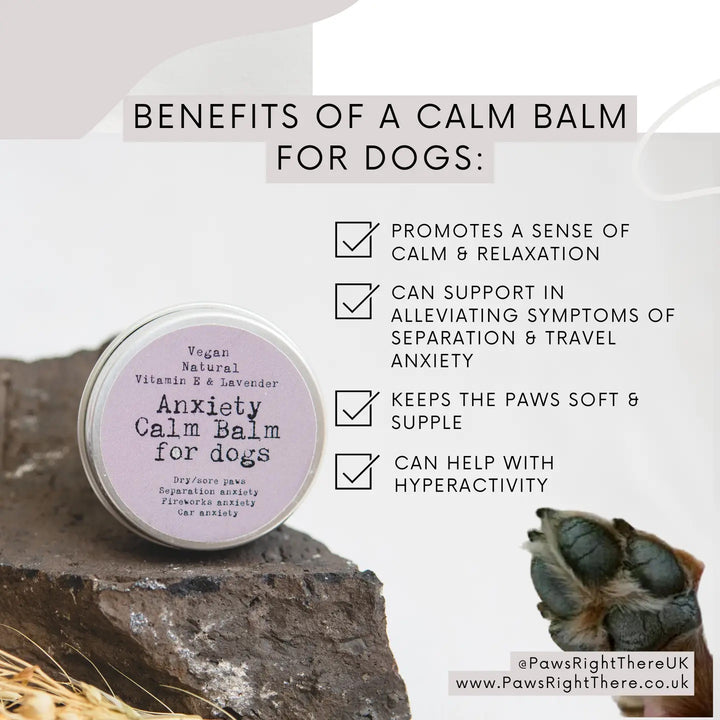 Paws Right There - Anxiety Calm Balm