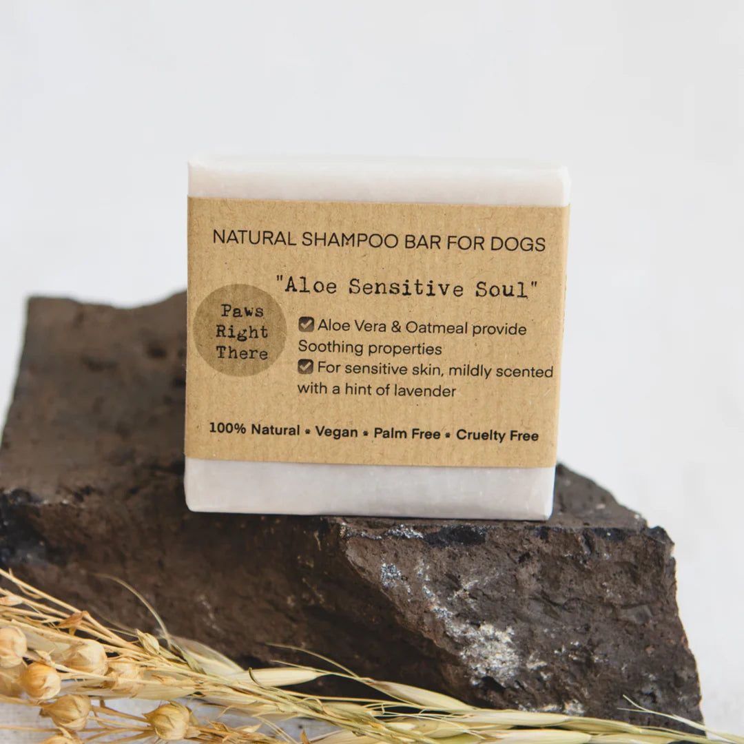 Paws Right There - Aloe Sensitive Soul Shampoo Bar