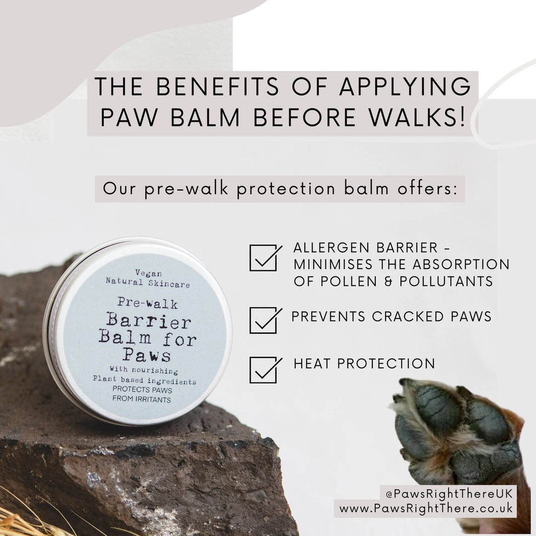 Paws Right There - Pre Walk Barrier Balm for Paws