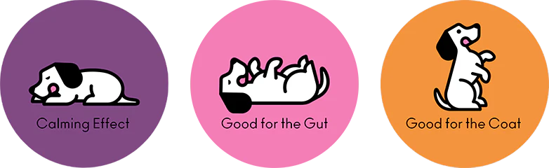 BrewBix - Small Dog Breeds