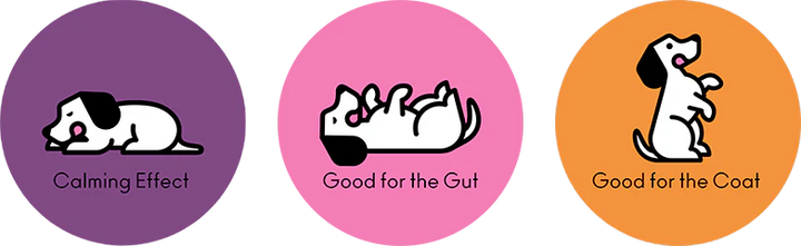 BrewBix - Small Dog Breeds