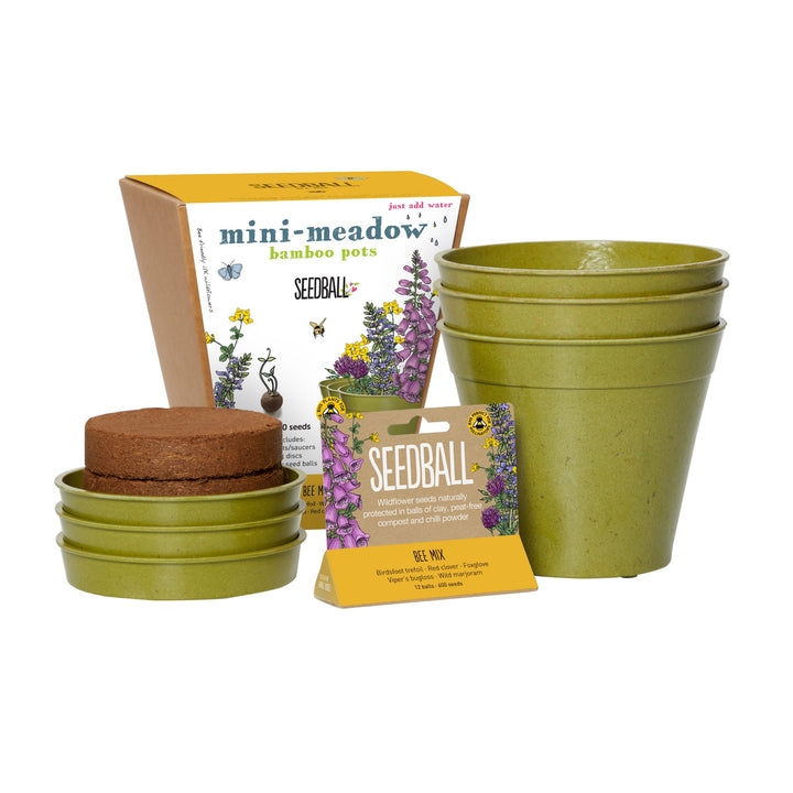 Seedball - Mini Meadow Bamboo Pots, Bee Mix