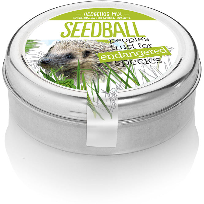 Seedball - Hedgehog Mixed Tin