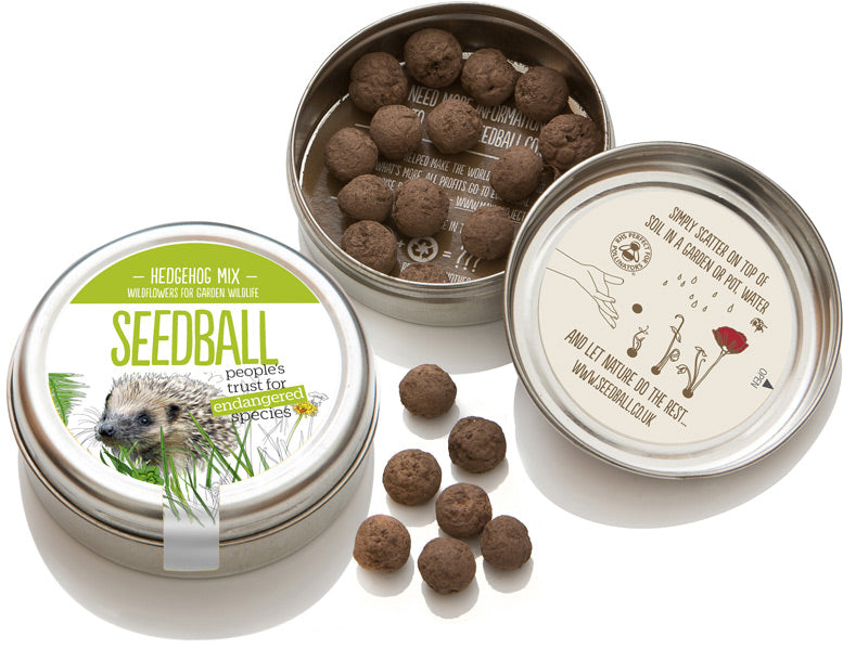 Seedball - Hedgehog Mixed Tin