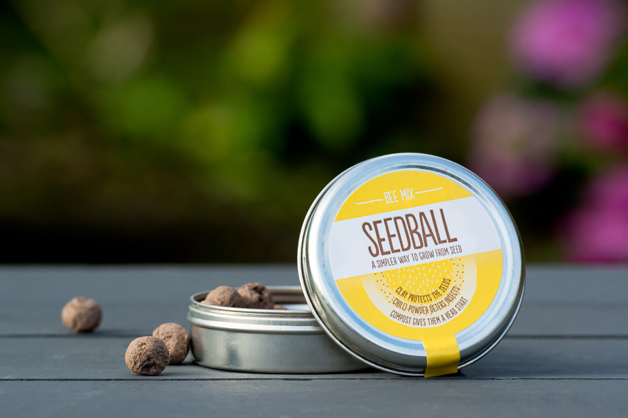 Seedball - Bee Mix Tin