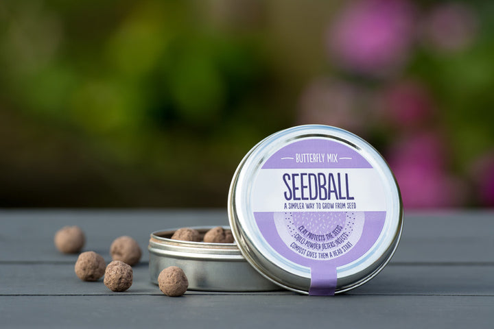 Seedball - Butterfly Mix Tin