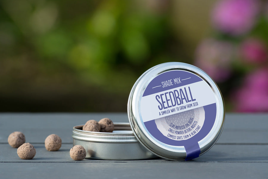 Seedball - Shade Mix Tin