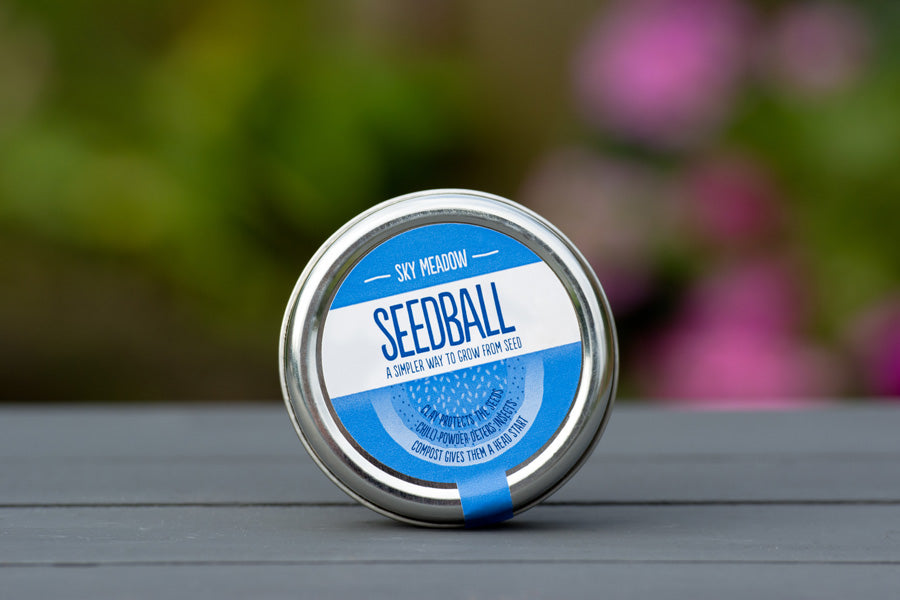 Seedball - Sky Meadow Mix Tin