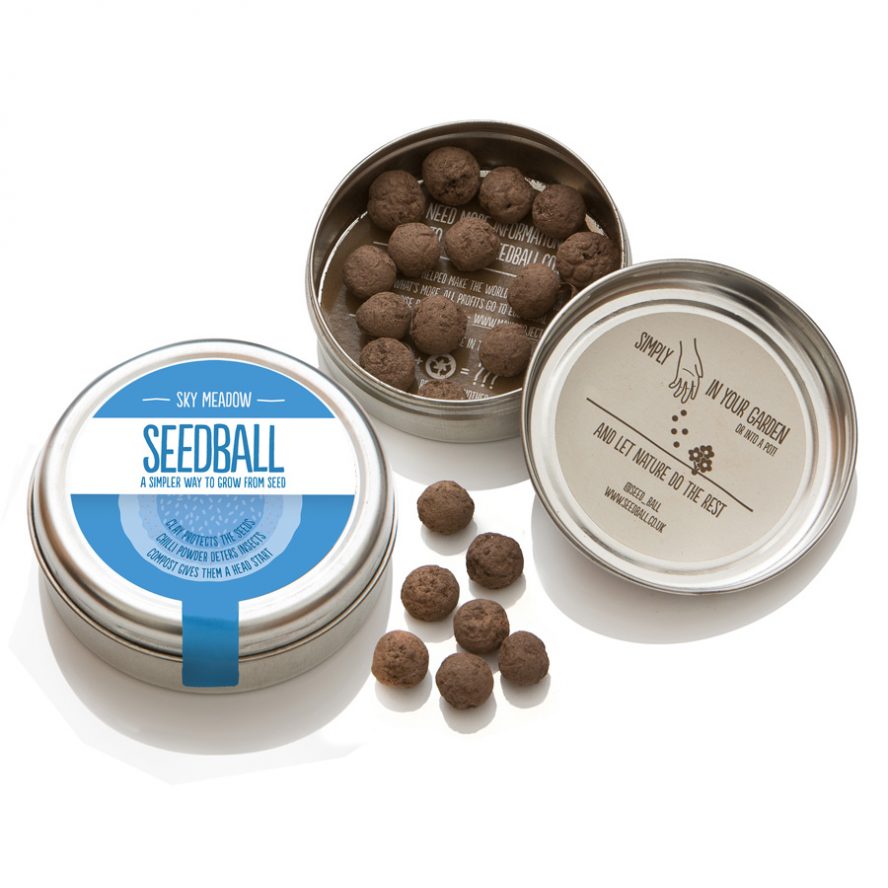 Seedball - Sky Meadow Mix Tin