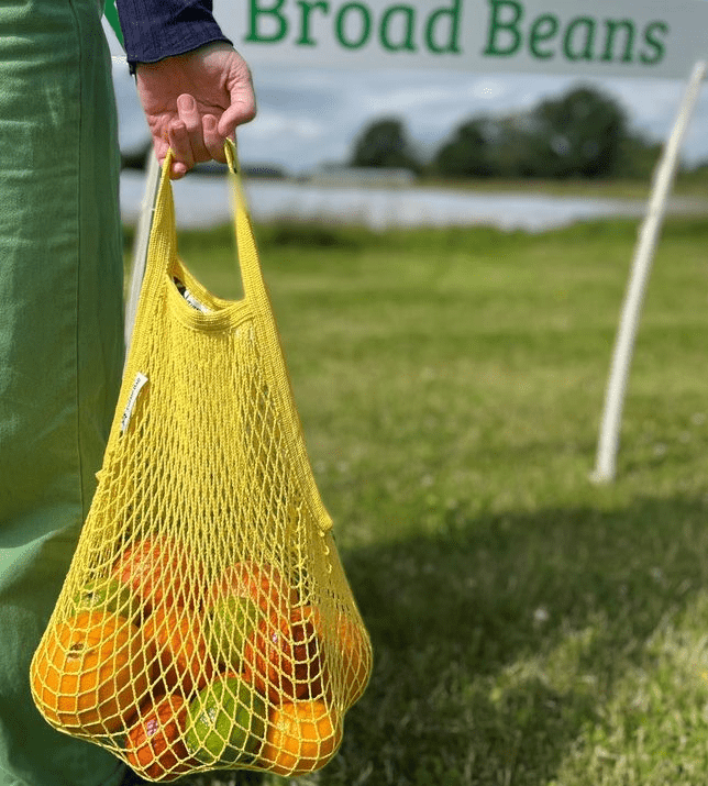 Turtle Bags - Organic Short Handled String Bag, Aqua